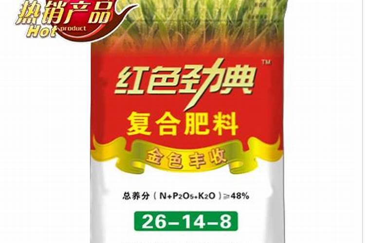 李子怎样管理才能又大又甜