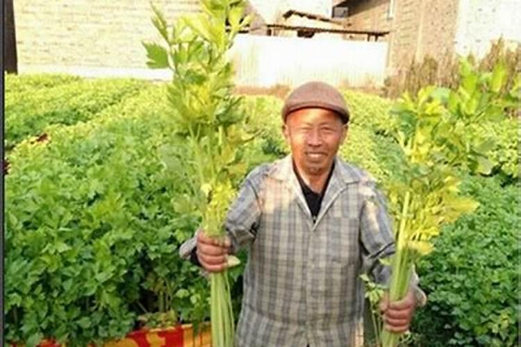 液氮是用什么办法生产出来的