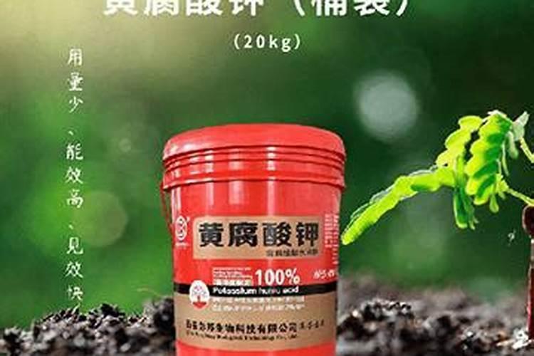 草莓几年结果实