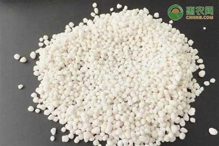 栽油菜用什么肥料最好
