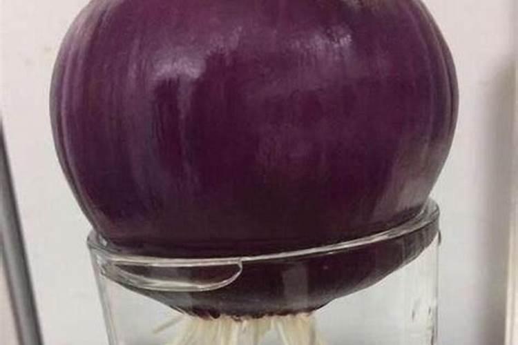 养鱼的水浇花好吗