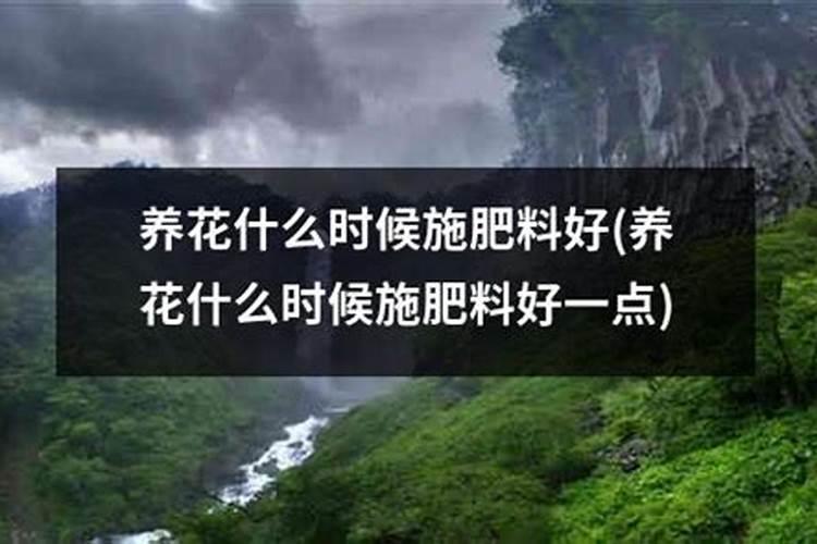 植物防冻剂有什么作用？正确的使用时间与使用方法是什么？