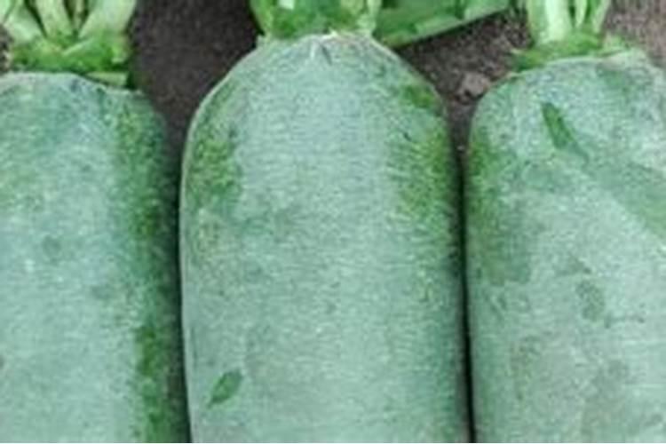 氨基酸水溶肥使用禁忌