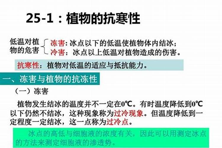 抗寒抗旱的肥料