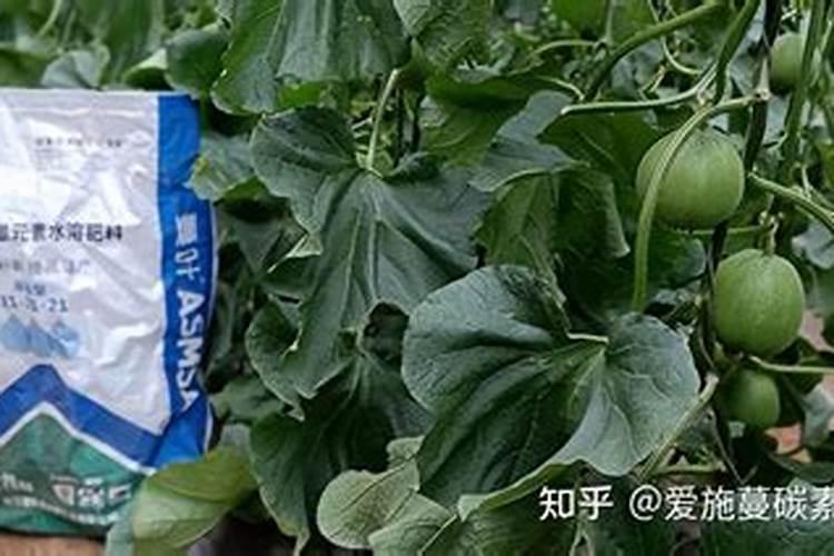 水溶肥和复合肥的区别是什么
