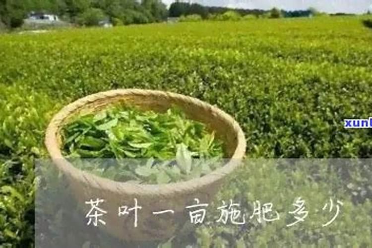 花生硼肥什么时间施用