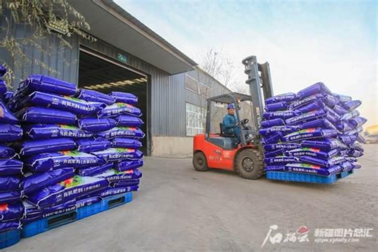 康代植物益生菌液助力新疆博乐千亩葫芦瓜丰产丰收