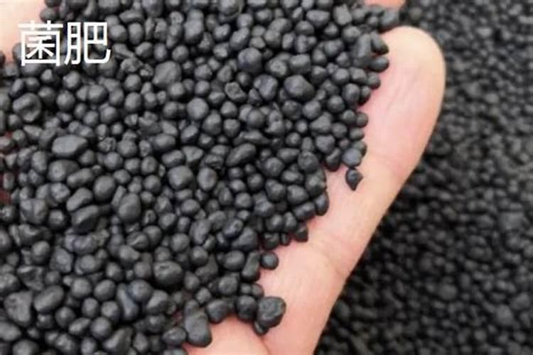 菌肥可以和氮肥混用吗