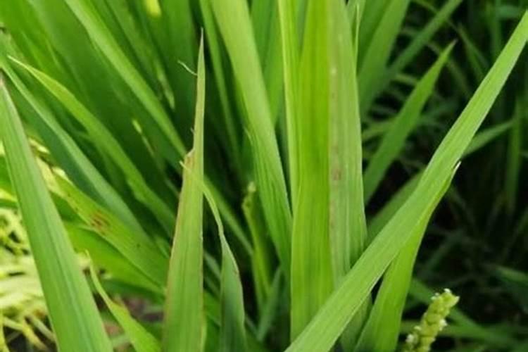 你所在的岗位存在什么危险因素？会造成什么职业病？如何进行防护？