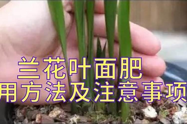 尿素当叶面肥使用方法