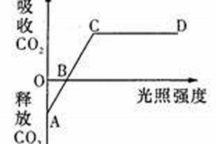 有机肥放盆底还是拌土好撒有机肥不覆盖土可以吗