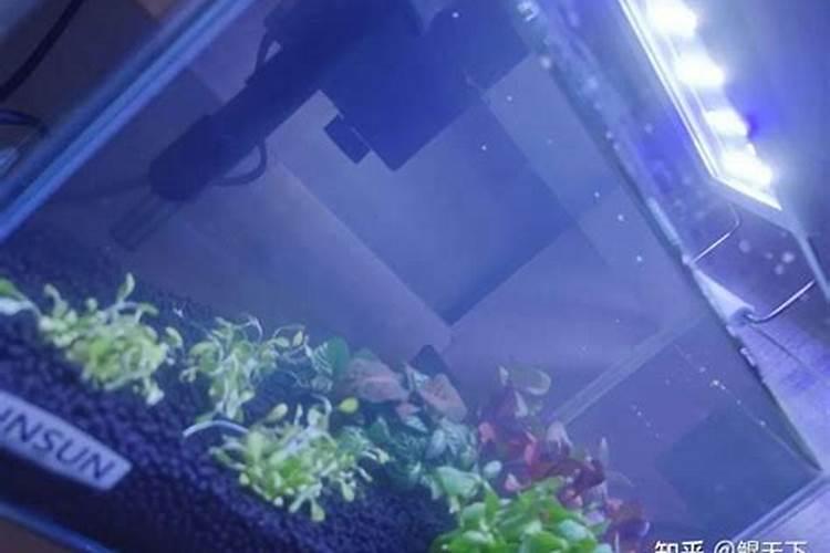 【管理】菜农在补肥时不能千篇一律!