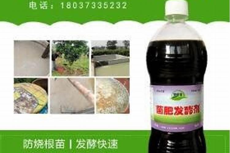 控旺用矮壮素好还是多效唑好