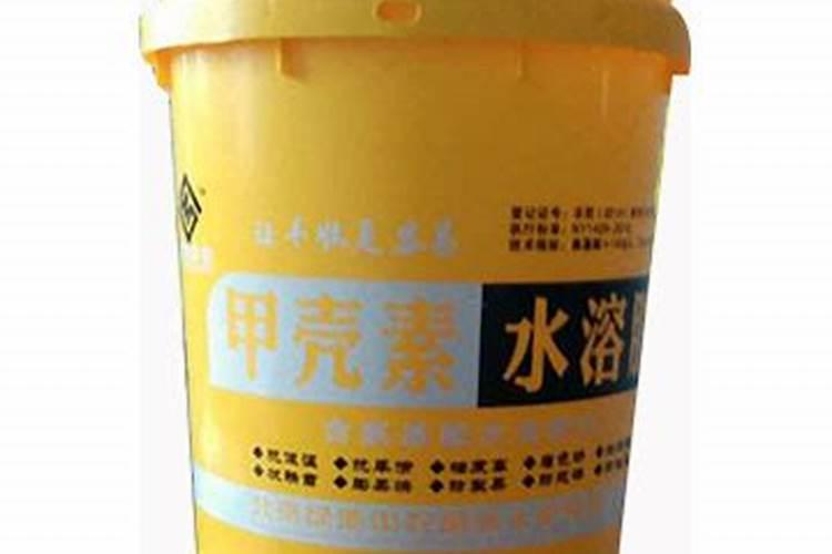 我想知道这个花的确切的名字,到底是葱兰还是韭兰,千万不要告诉我葱兰...