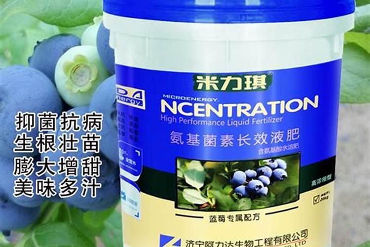 盆栽蓝莓结果少,用上1个“小妙招”,一次结果好几斤,营养美味