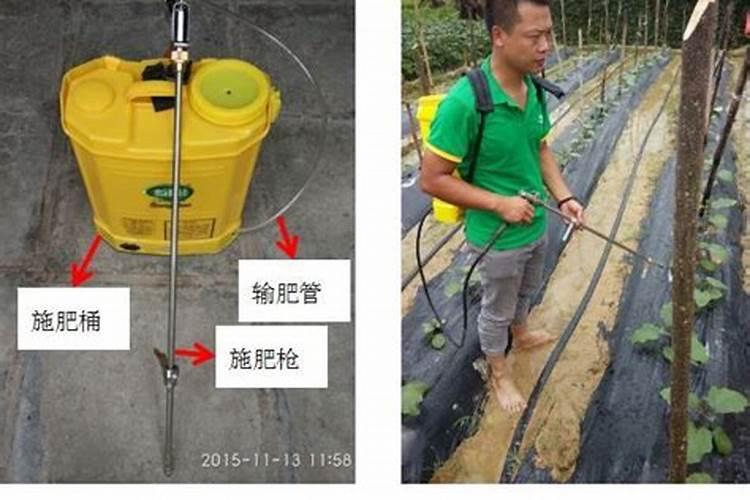 番茄在下雨后,,裂果很多,这是什么原因啊？