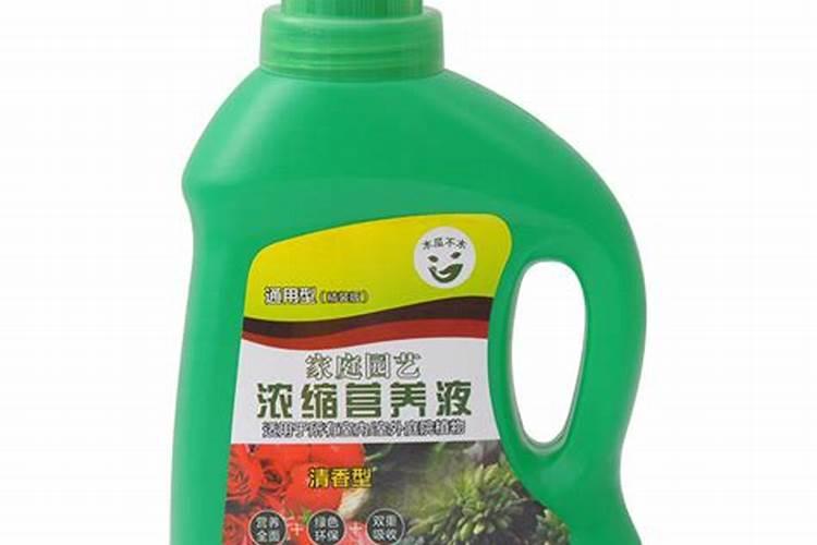 花使什么肥料叶子大(花卉用什么叶面肥)