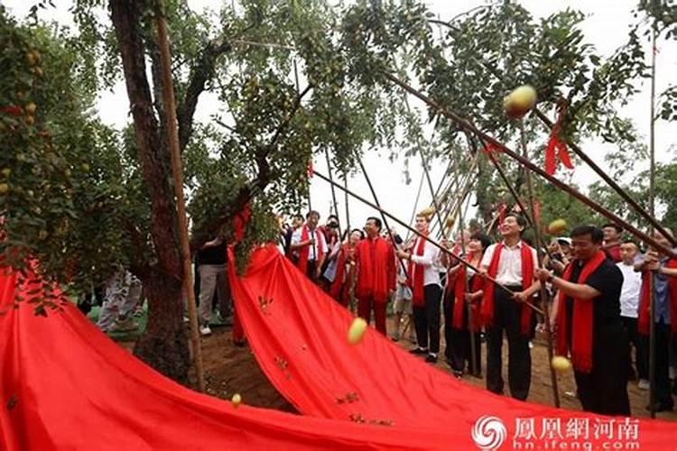 红枣树不打硼肥有什么后果
