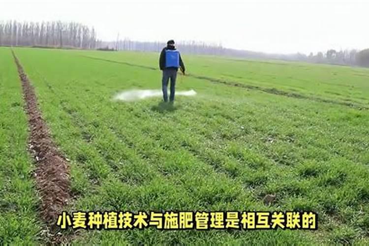 白色衣服被染色了,用什么方法可以把它洗白呢？