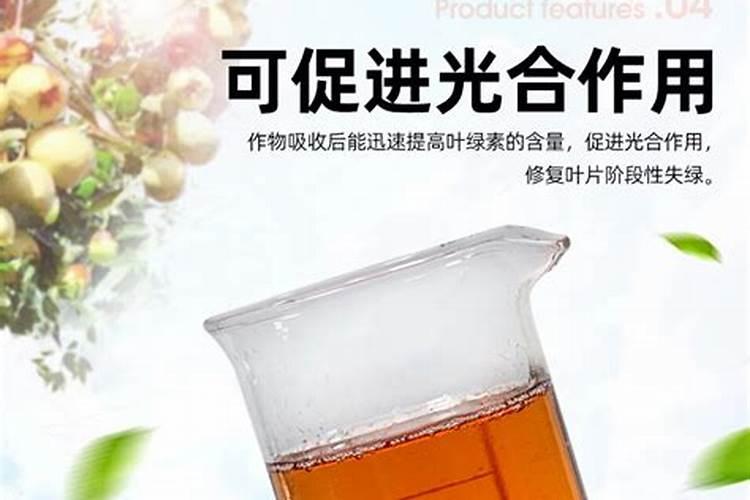 苹果树补钙的叶面肥有哪些苹果树叶面肥一年喷几次都喷什么肥