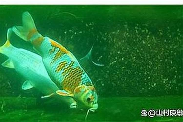 铵态氮肥有哪些是不能与碱性物质