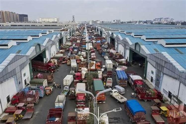 西安市蓝田县能不能种植魔芋