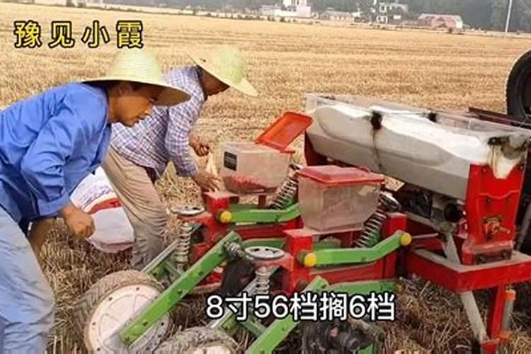 一亩地需要多少化肥
