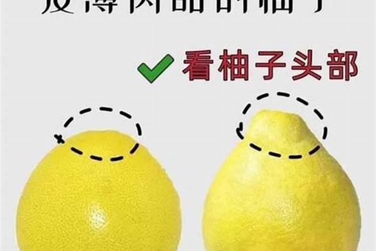 富贵竹应该施什么肥