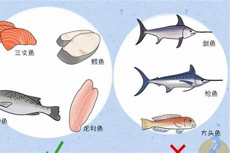 沙丁鱼,金枪鱼,三文鱼,哪种鱼鱼刺少最适合老年人吃？