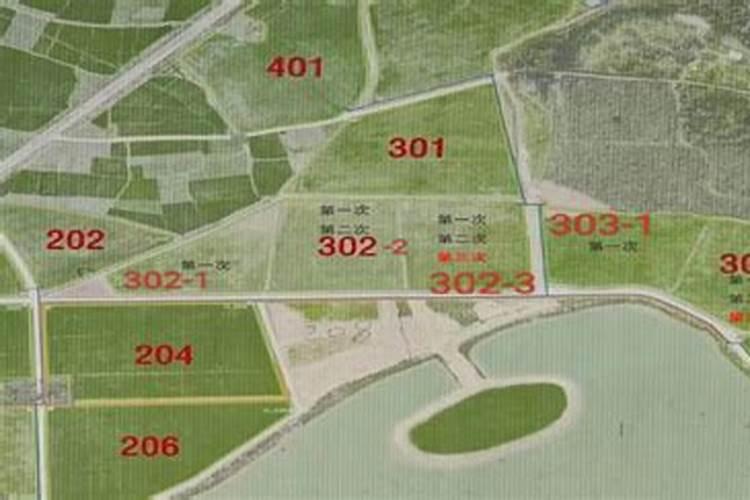 三十烷醇的作用和用途