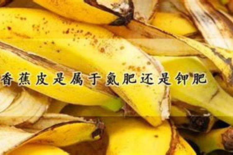 香蕉科学施肥方法,什么时候适合施肥