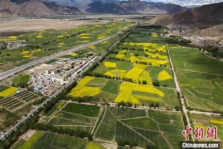 大量元素水溶肥料多少钱一要几天才能配土