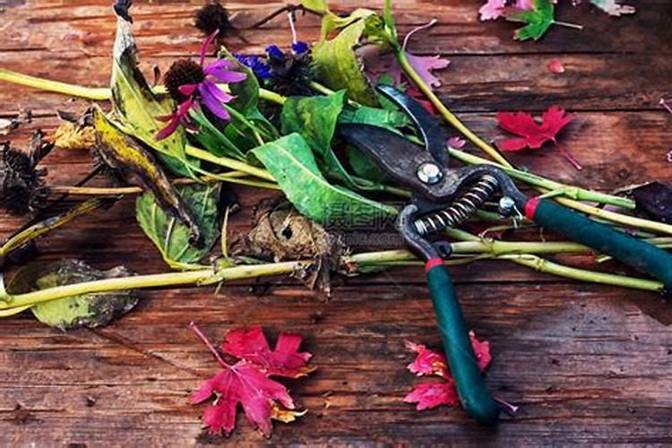 含氰化钾的农药有哪些