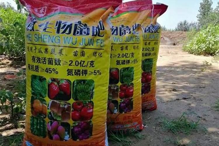 樱桃授粉药什么时间打