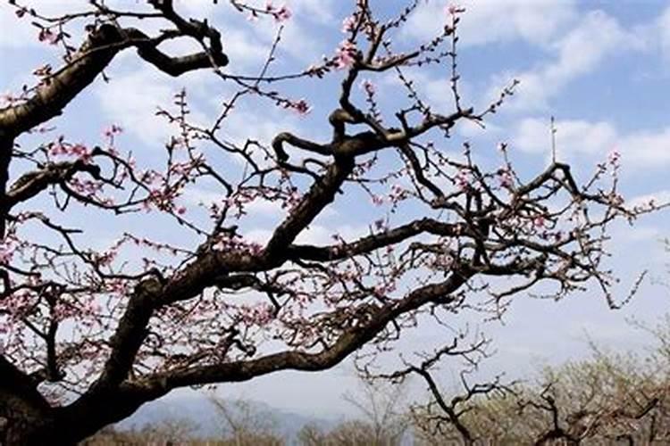 ...A.农药有毒,应该禁止施用农药 B.磷酸铵[(NH 4