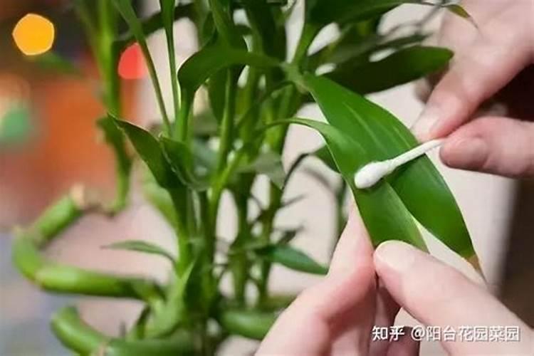 2022年丰收节石嘴山有活动吗？