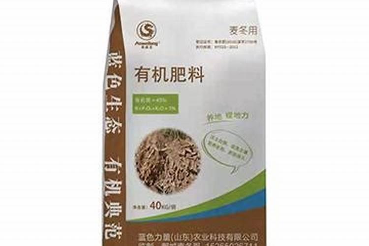 冬瓜子的功效与作用和营养价值