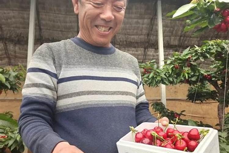大蒜膨大期用什么肥料