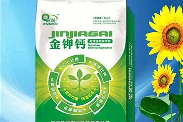 金弹子用什么土栽培最好