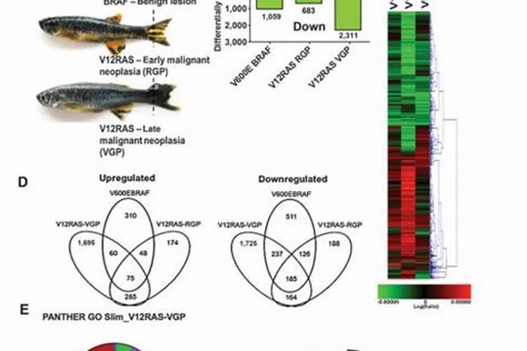 芸苔素内酯和复硝酚钠哪个好(两者有什么区别)
