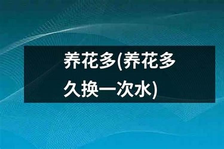 兰花多久施肥一次