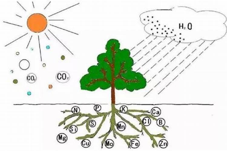 肥料工业产品“三证”是什么