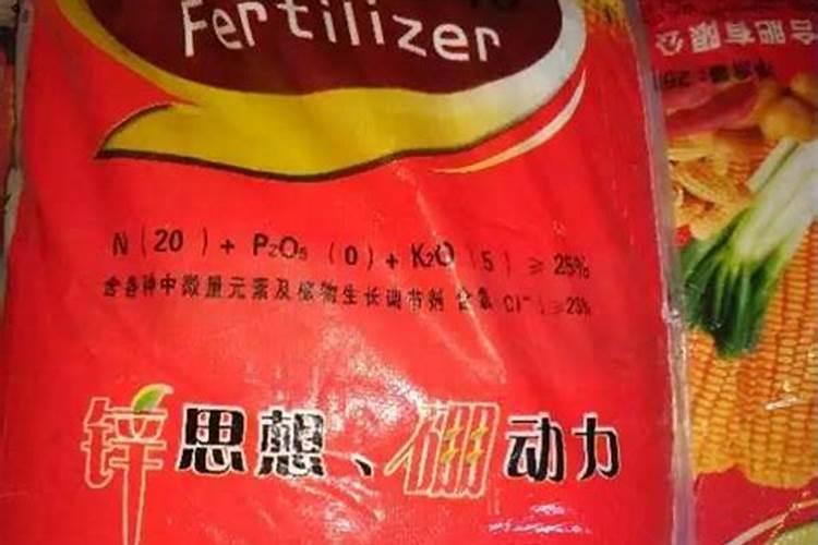 发财树春天施肥方法