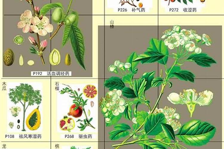 山东大降温,蔬菜应该如何防治冻害？