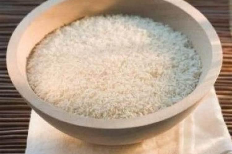 肉牛喂什么料长的快