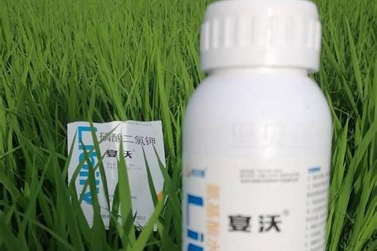 稻子分蘖期打水溶肥好吗？