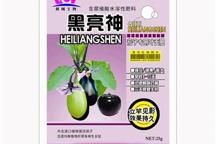 茄子什么情况求解决办法