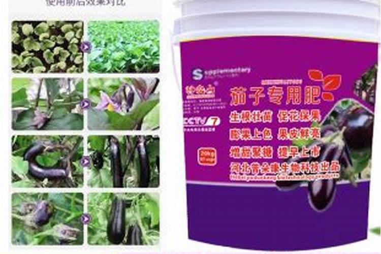 茄子的需肥规律是怎样的？施肥时需要注意哪些问题？