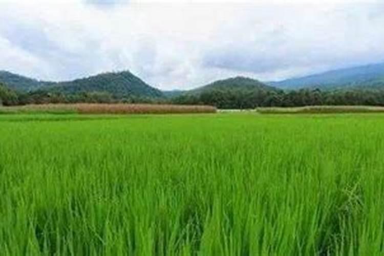 谈谈造影剂和造影剂肾病