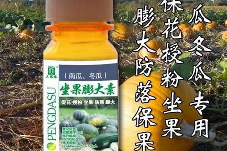 生菜追肥用什么肥料见效快(种生菜用什么肥料冲施最好)